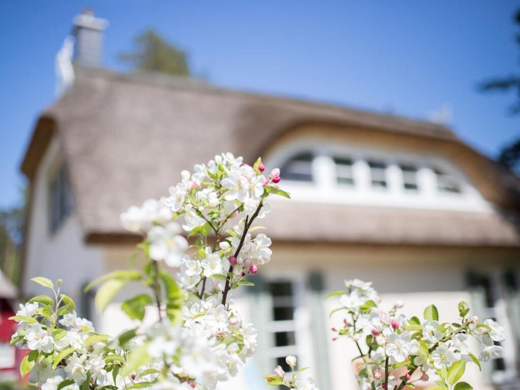 Holiday Home Reet-Seaside Glowe Exterior photo